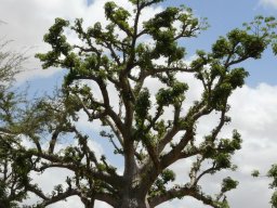 284800_10150261347779901_3972874_n